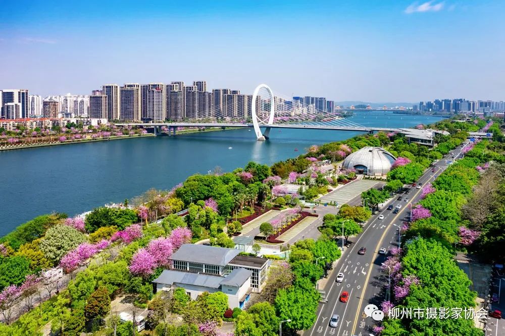 东堤游园