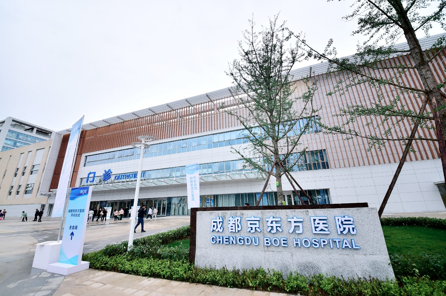 成都京东方医院