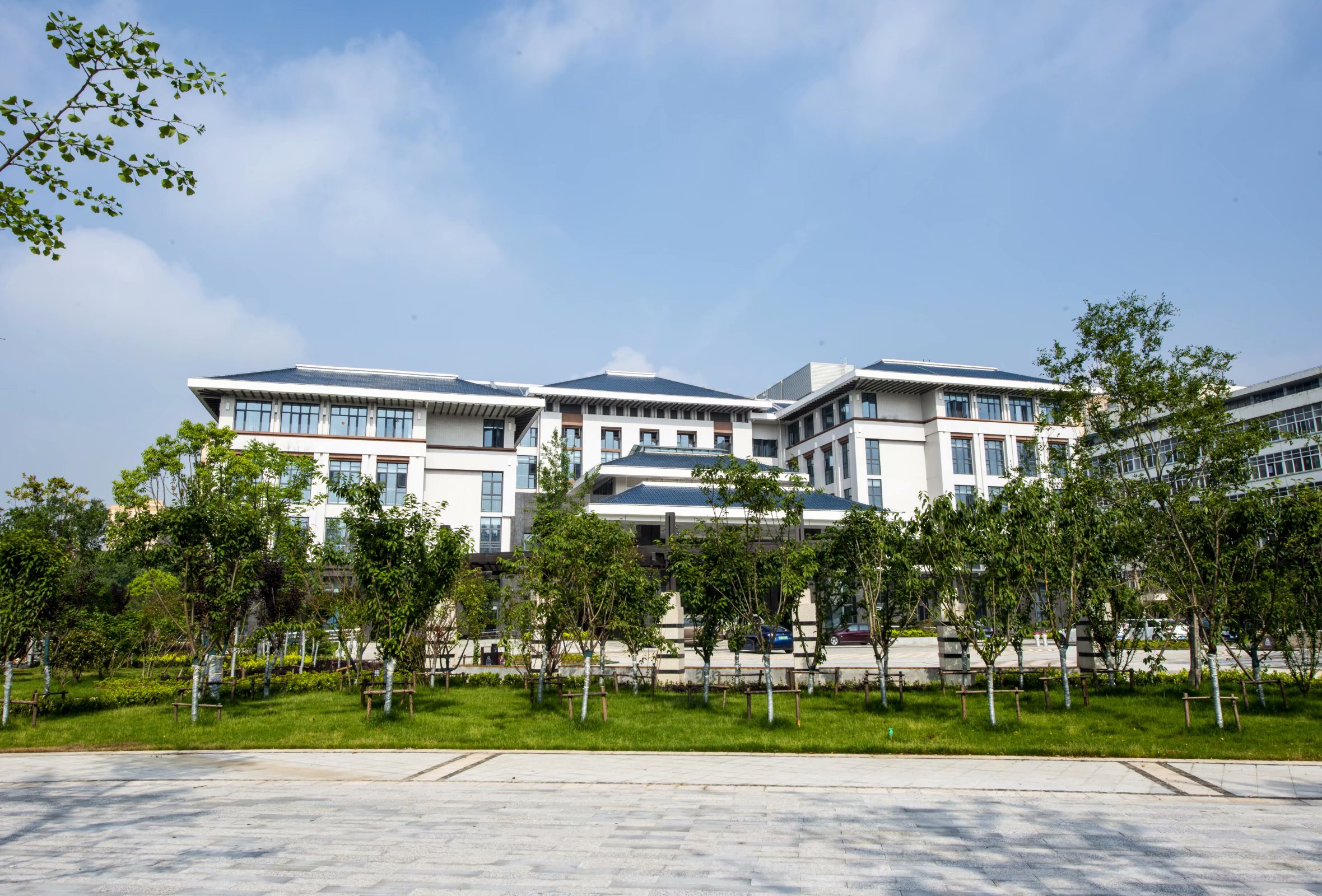 华中科技大学同济医学院附属梨园医院