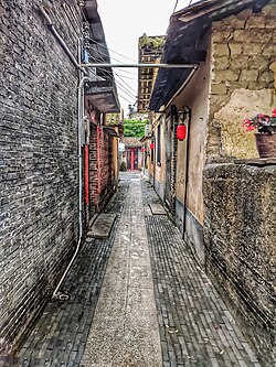 达人村