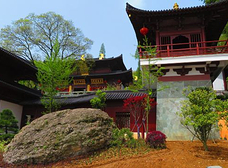 Gallery 2