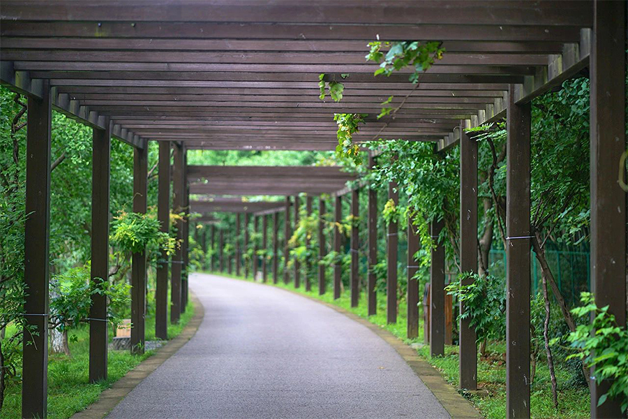 旺山景区
