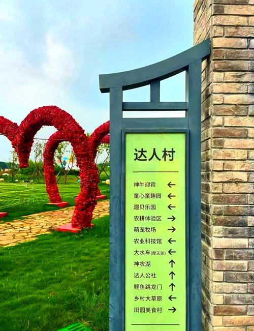 达人村
