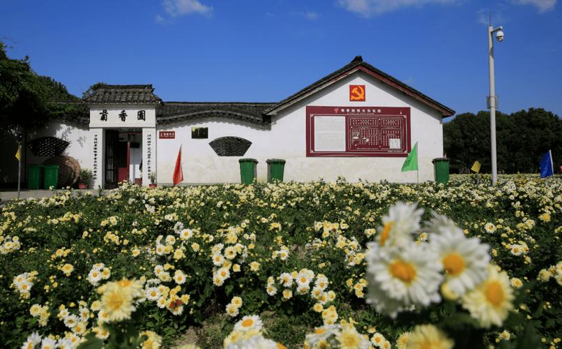 桐乡杭白菊茶庄