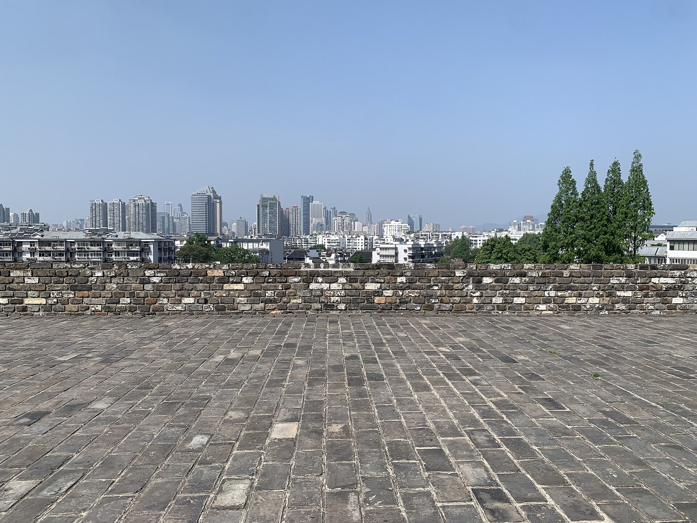 Nanjing History Day: City Wall, Presidential Palace and Night River