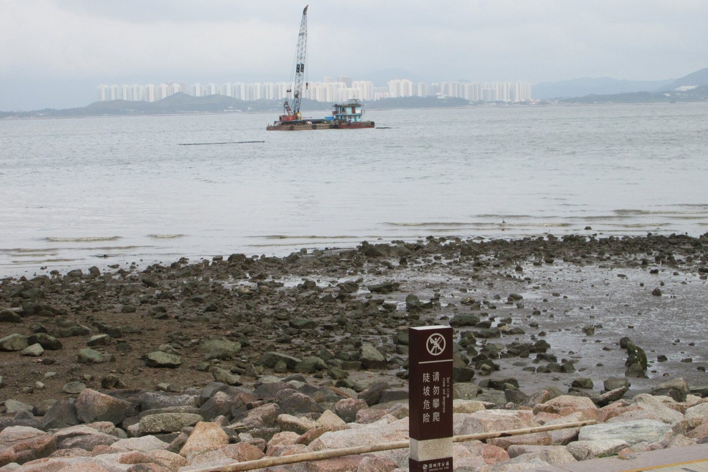 Shenzhen Waterfront Day: Bay Park, Talent Park and Sea World