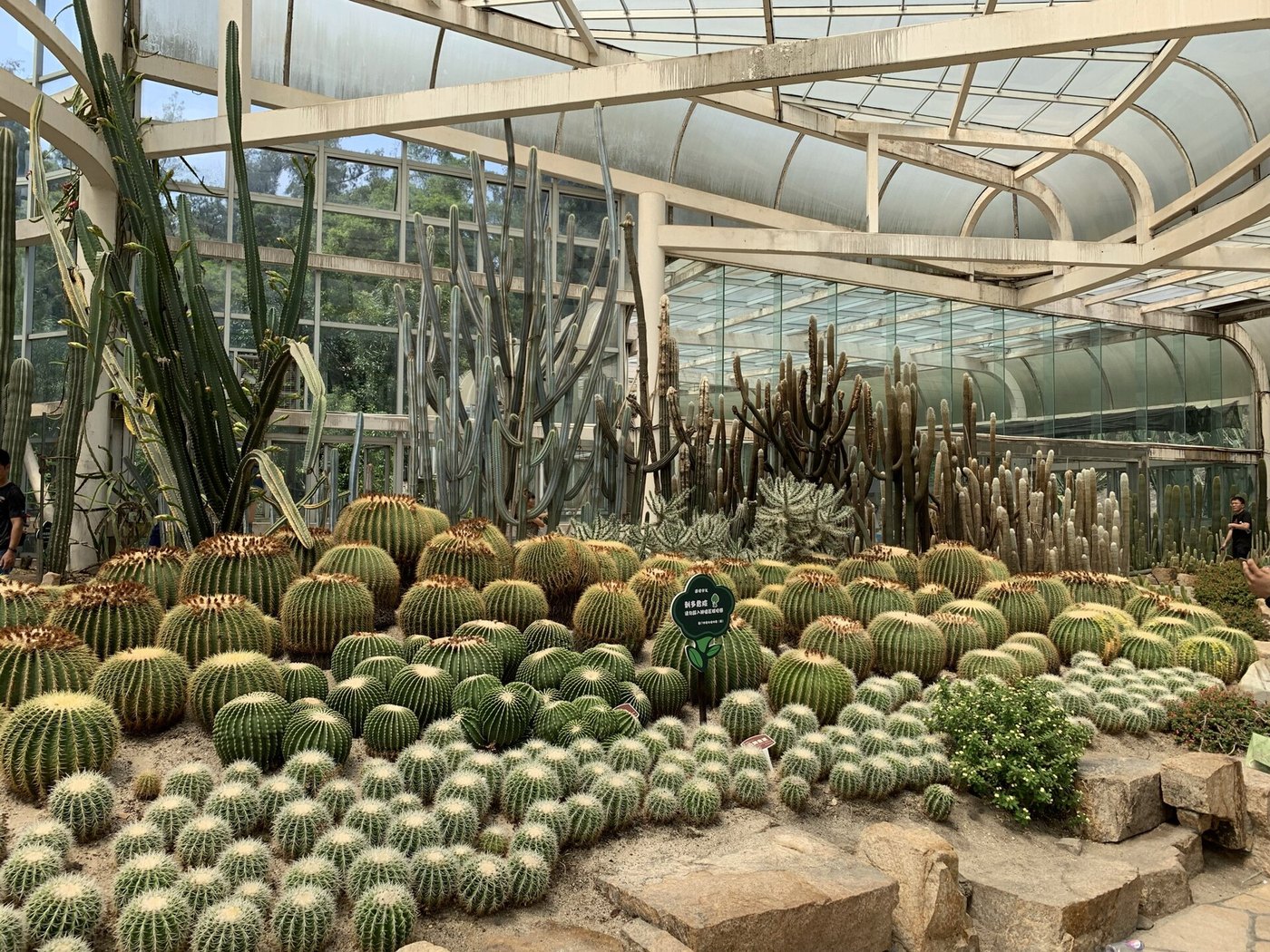 Xiamen Island Day: Shapowei, Botanical Garden and Seafront