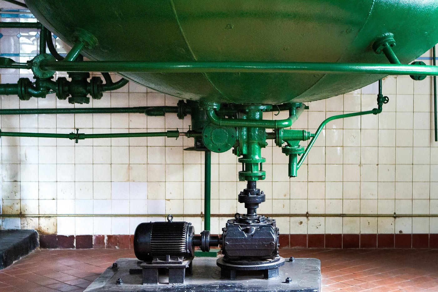 Qingdao beer tasting people