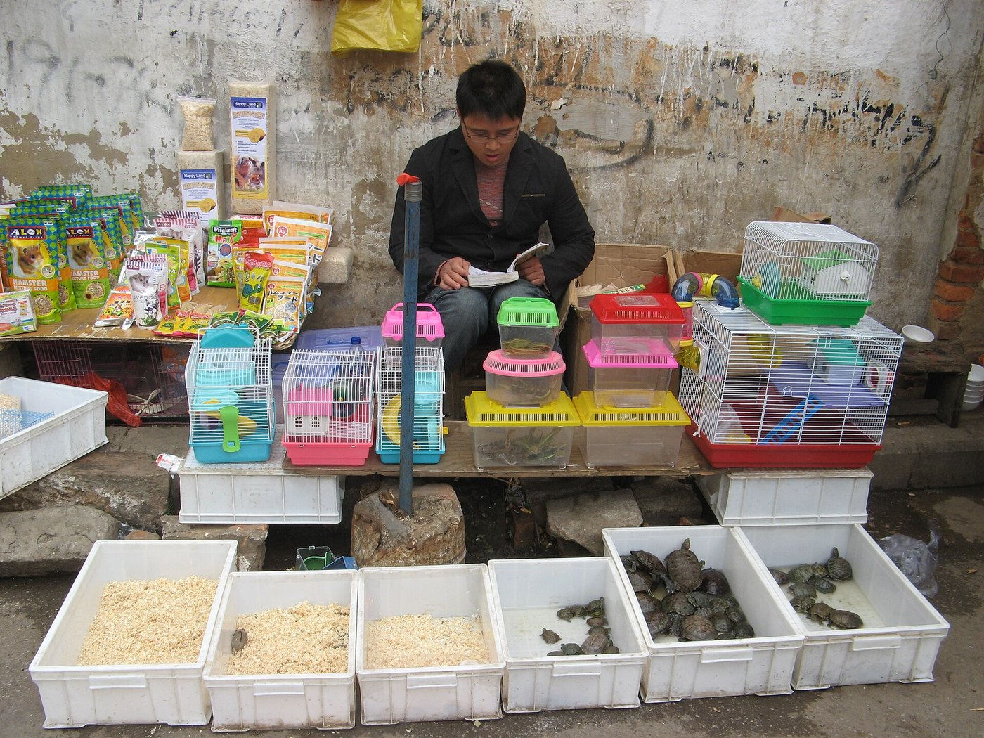 Kunming flower market visitors