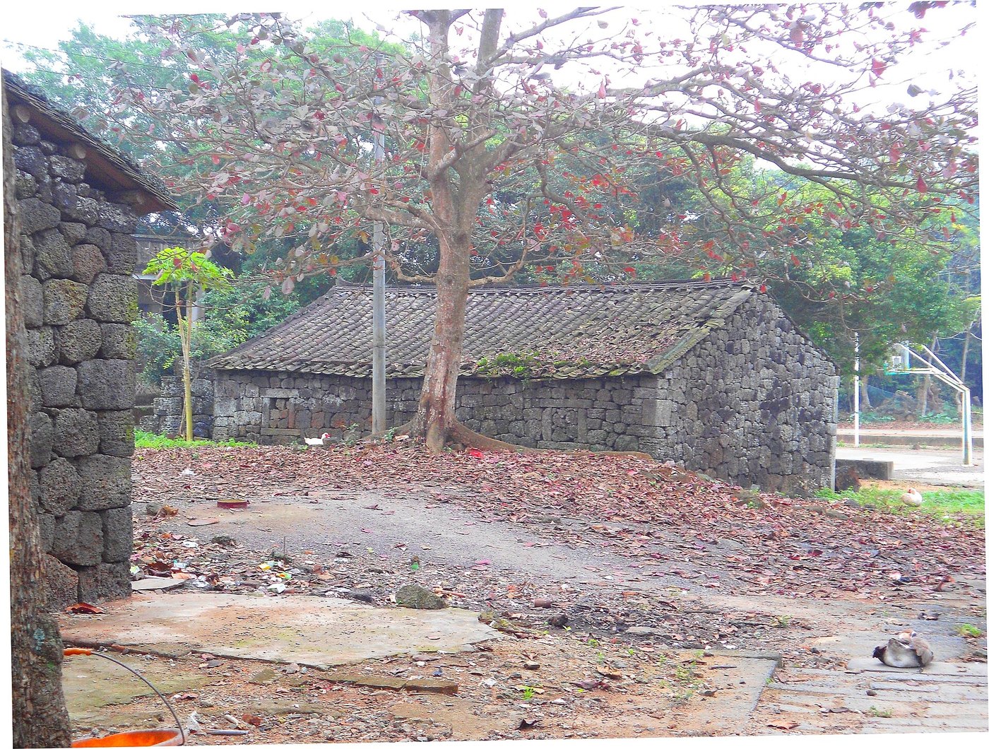 Hainan volcanic stone village people