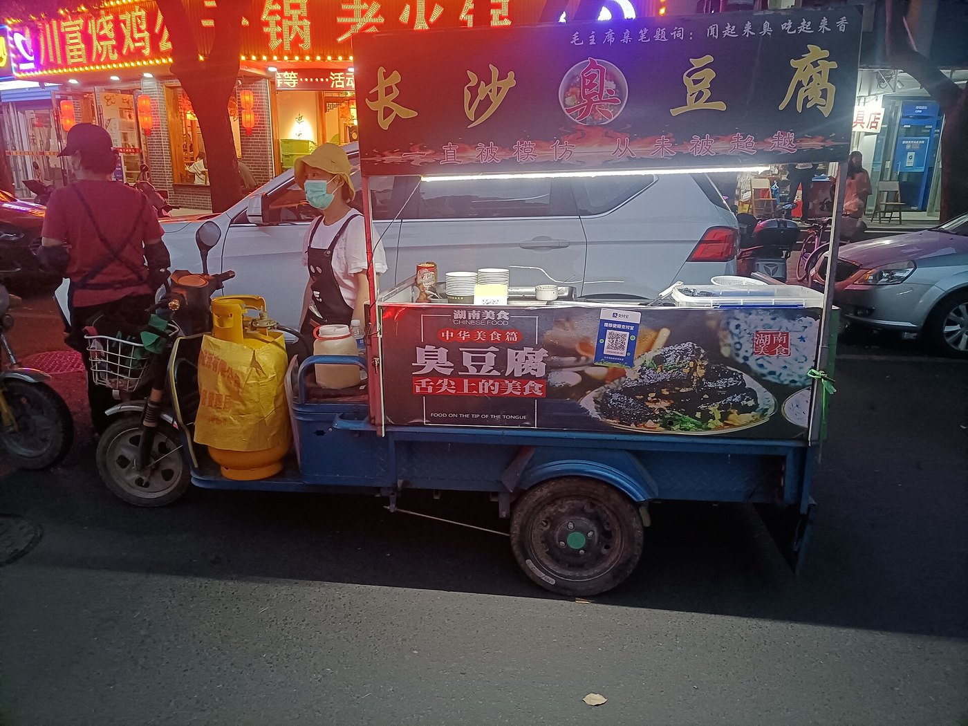 Changsha stinky tofu street food