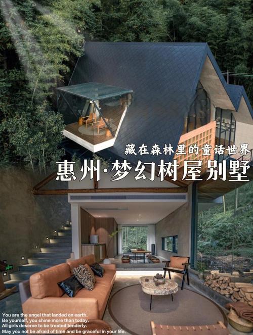 南树屋民宿