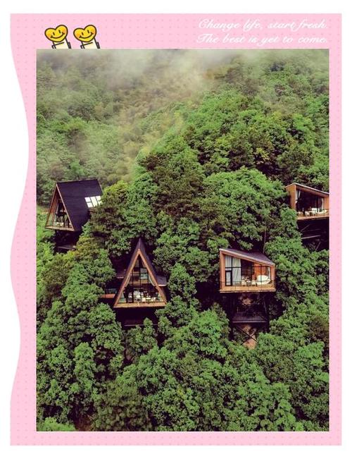 宁波江厦北树屋民宿