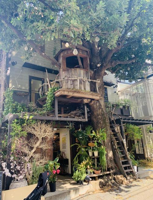家树屋民宿(旗舰店)