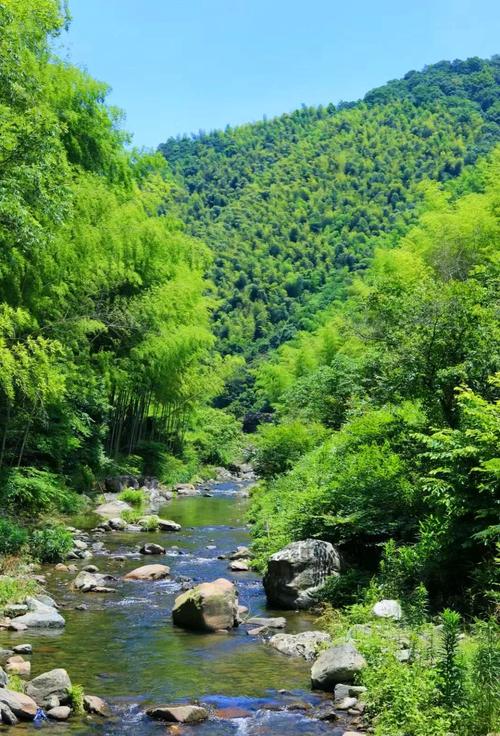 宁波仙自然保护区