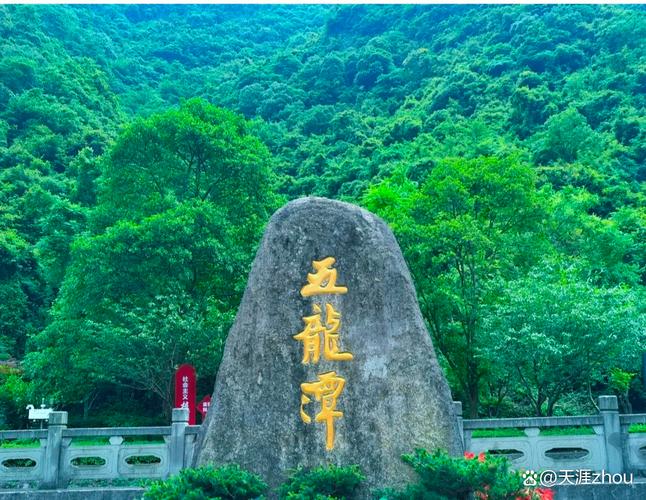 宁波龙自然保护区