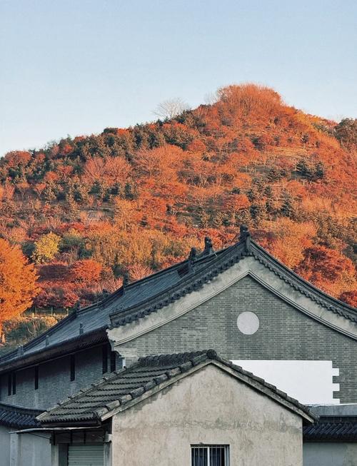 宁波姚江红叶生态园