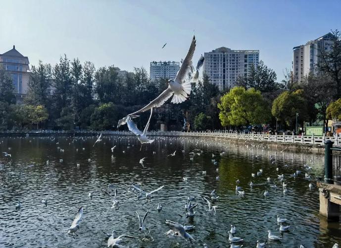 翠湖海洋公园