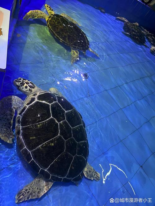 宁波海曙秘境海洋公园