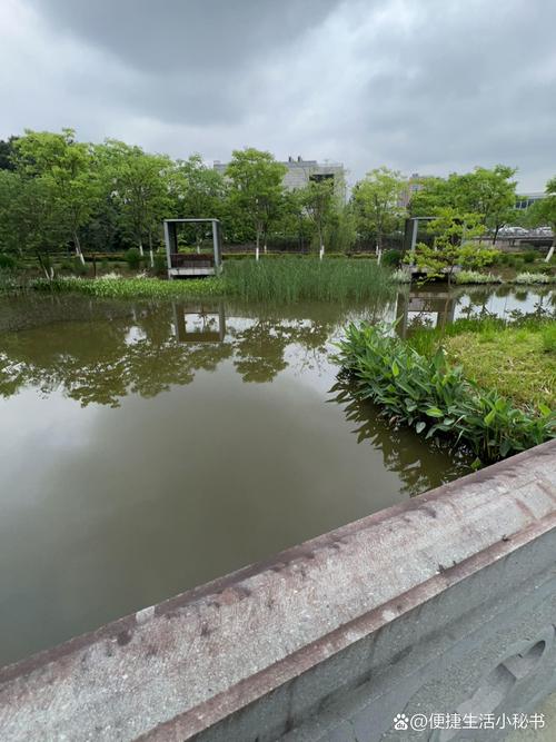 宁波黄湿地