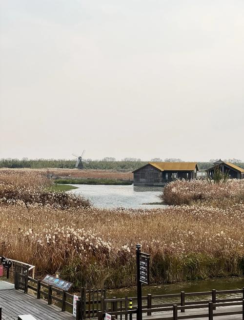 宁波姚江蓝湿地公园(旗舰店)