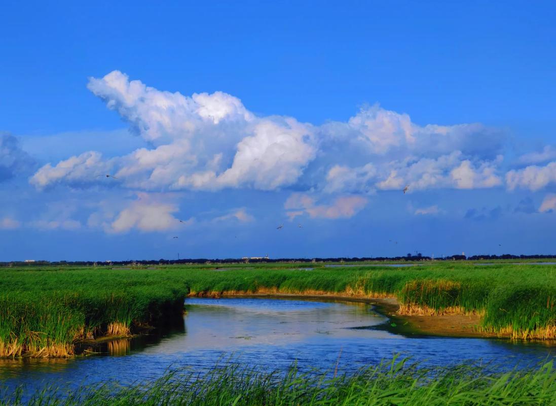 凤湿地