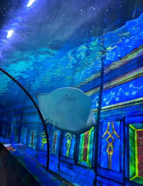 宁波蓝海洋公园