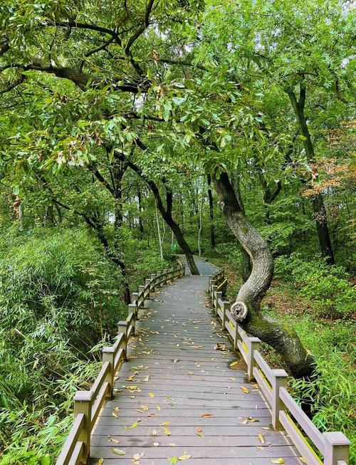 宁波象山翠湖森林公园