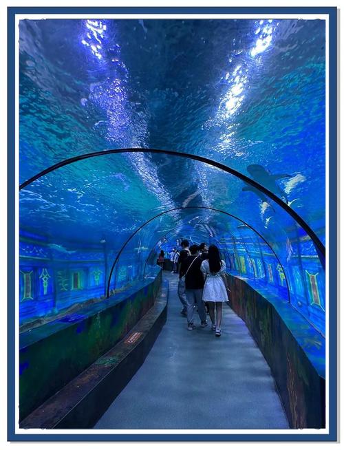 宁波白海洋公园