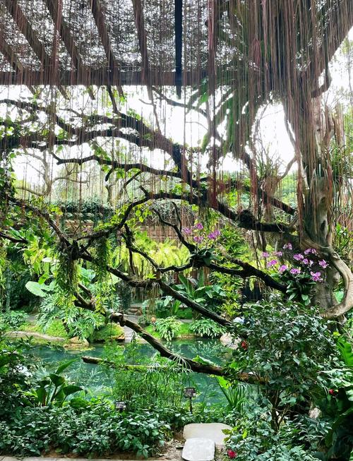 青植物园