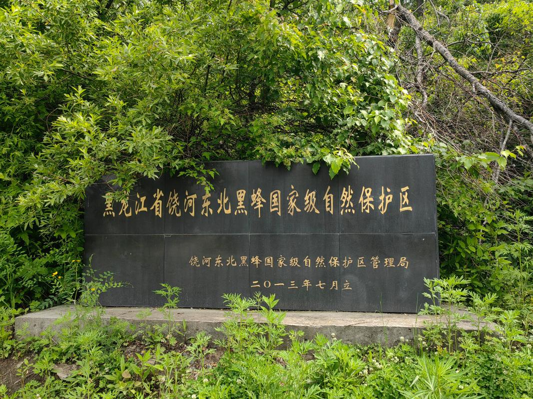 黑保护区