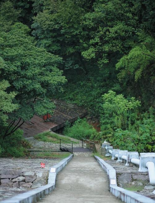 宁波黑保护区