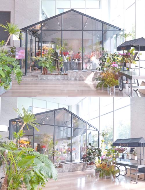 宁波家花店