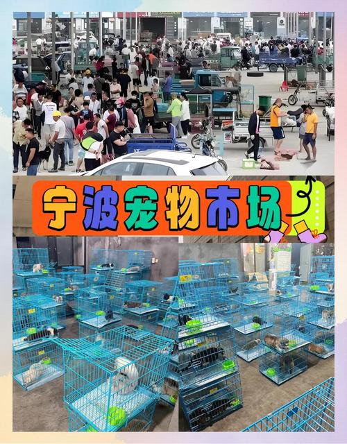 宁波北仑腾宠物店(总店)