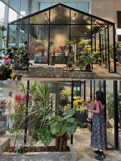 宁波龙花店