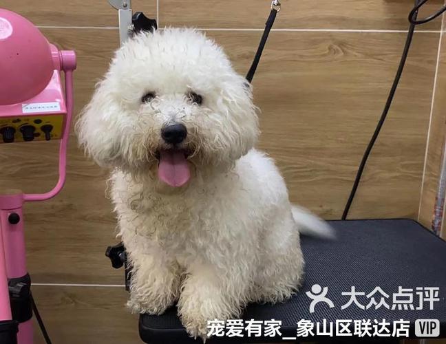 宁波象山君宠物店