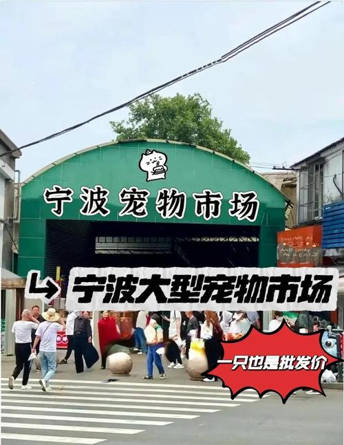 宁波镇海圣宠物店