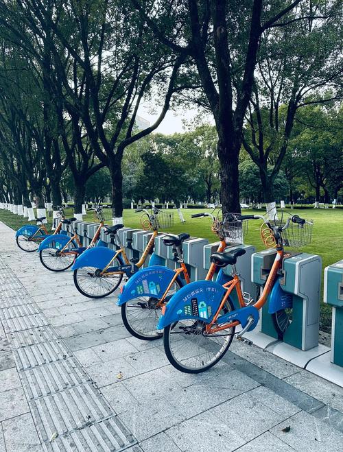 宁波镇海永共享单车点