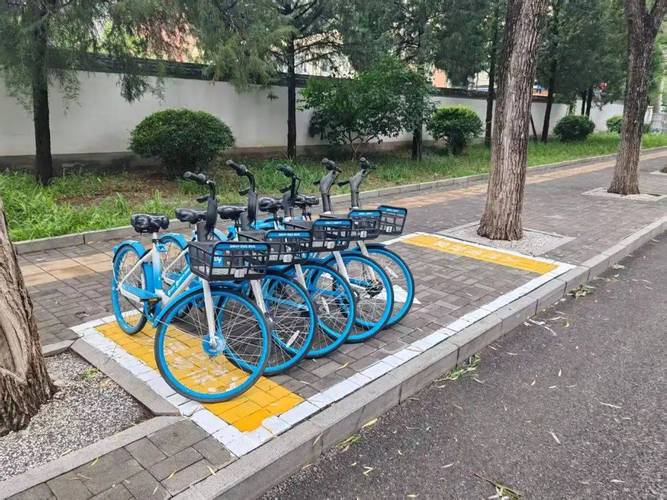 中共享单车点