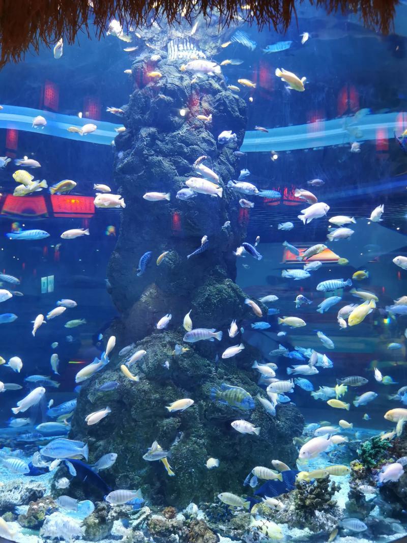 长春皇海洋公园