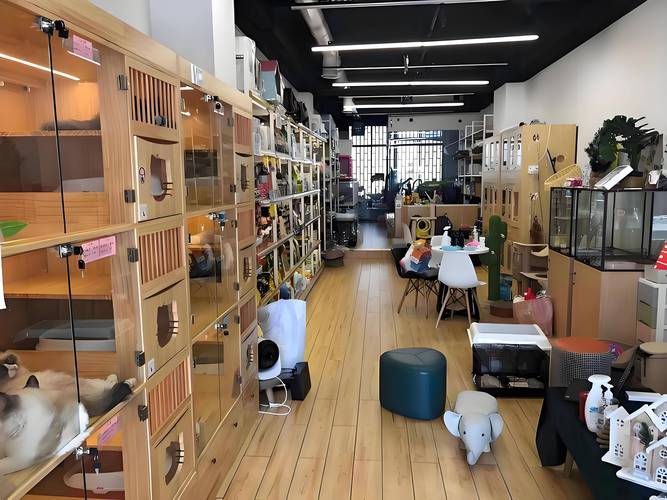 小宠物店