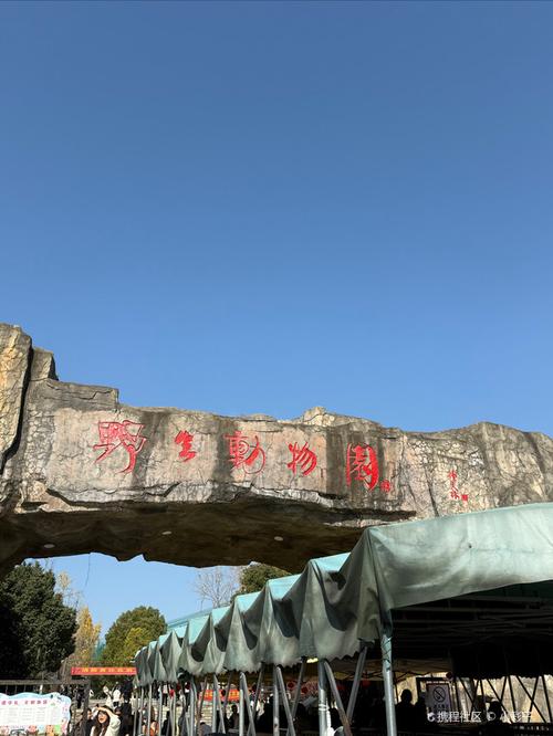 合肥碧水动物园(老店)