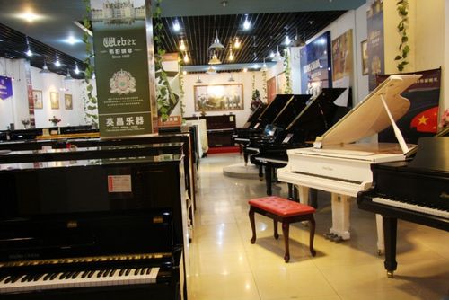 合肥庐阳华乐器店(旗舰店)