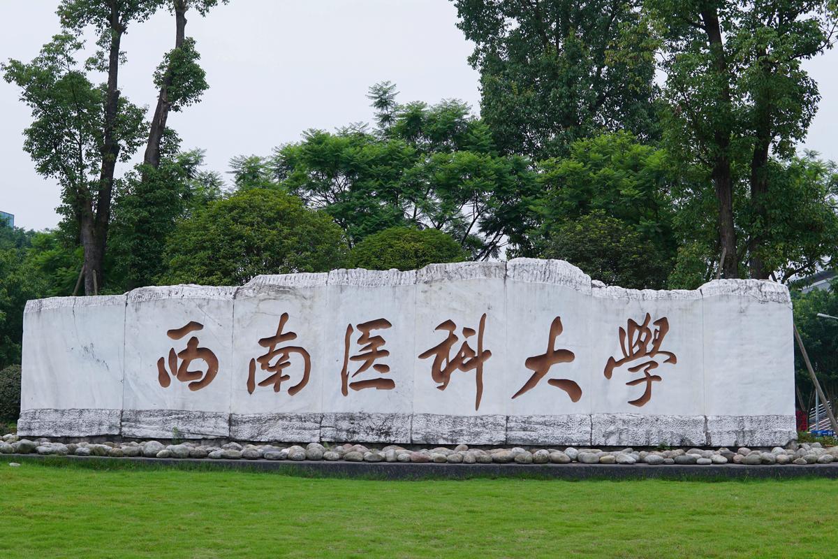合肥肥西南医科大学(分店)