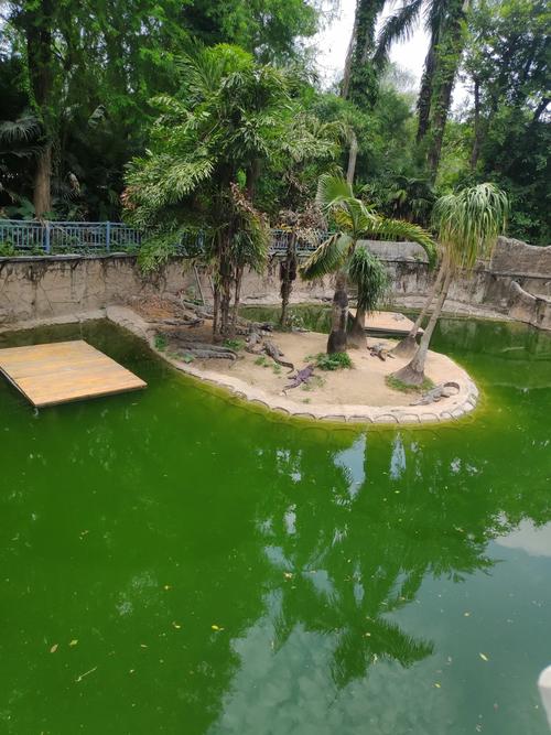 绿水动物园