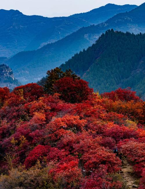 红叶地质公园