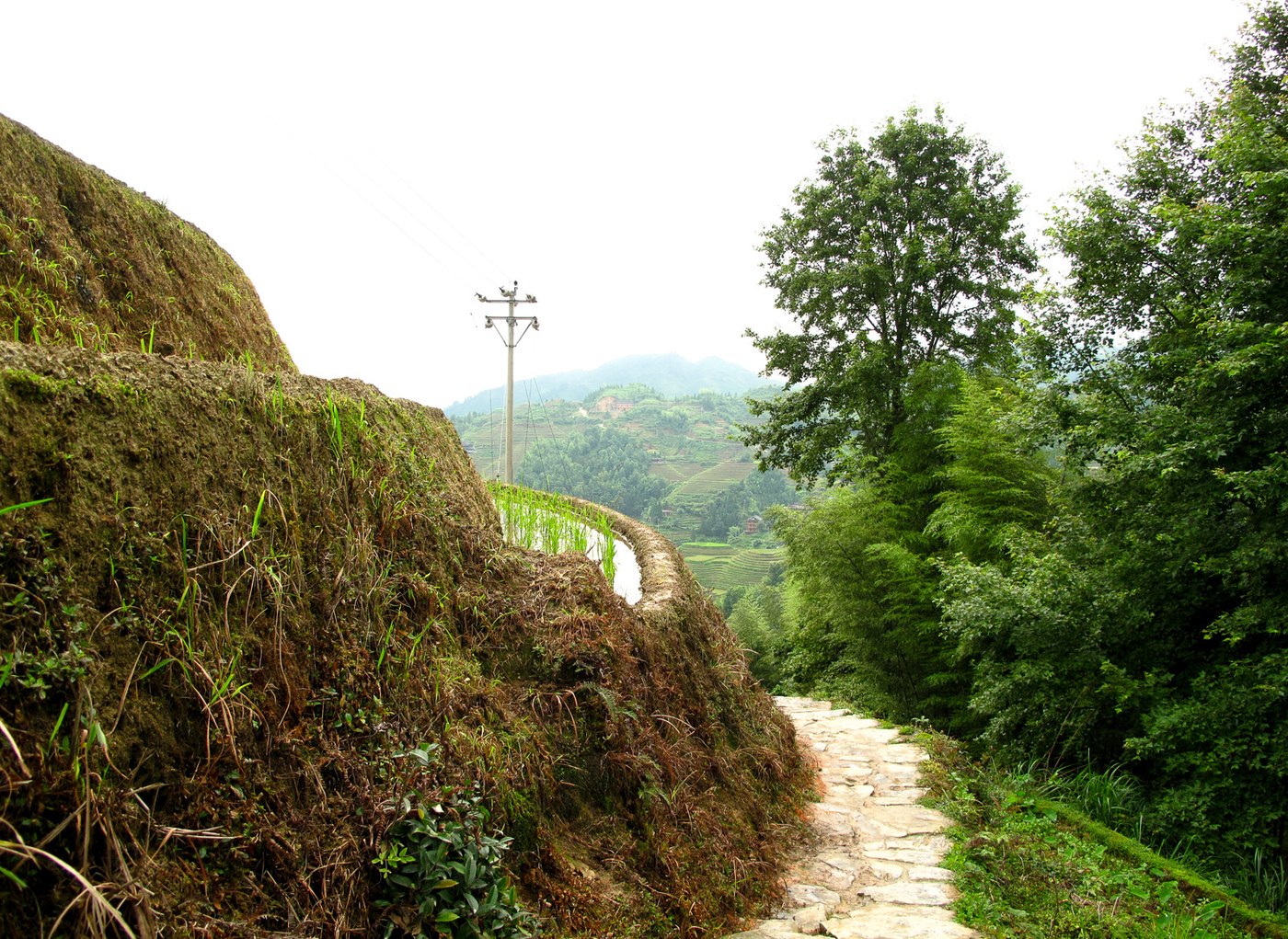Longji terraces people