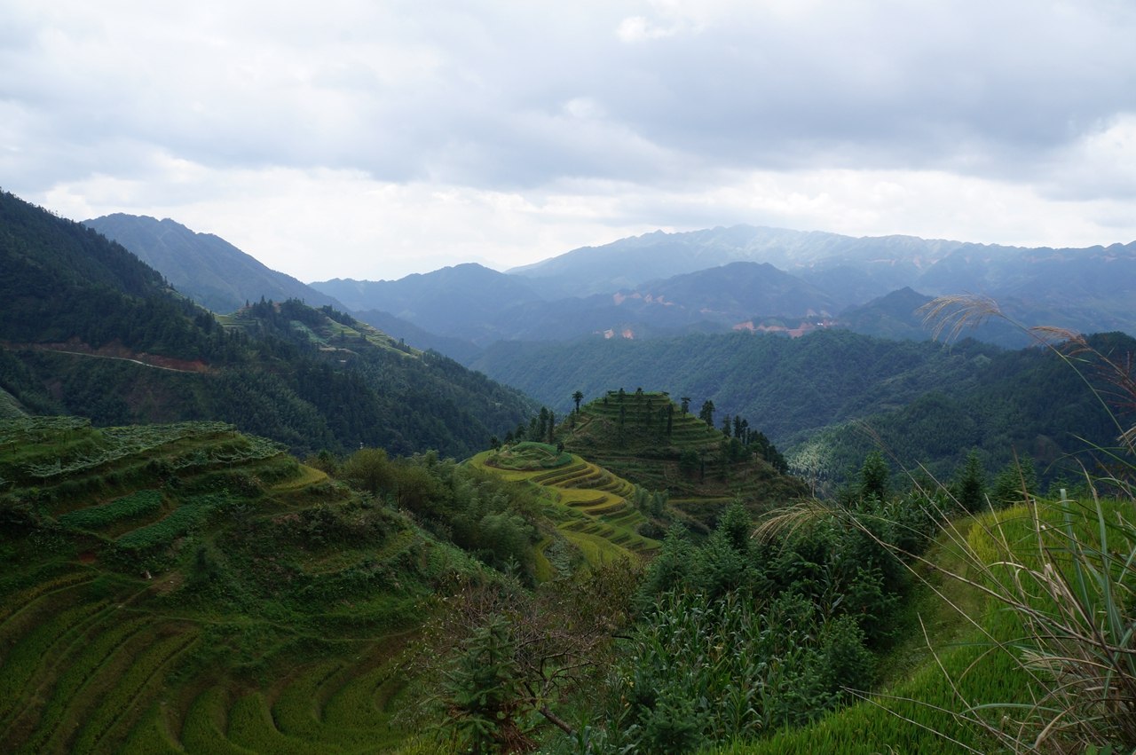 Longji rice terraces landscape