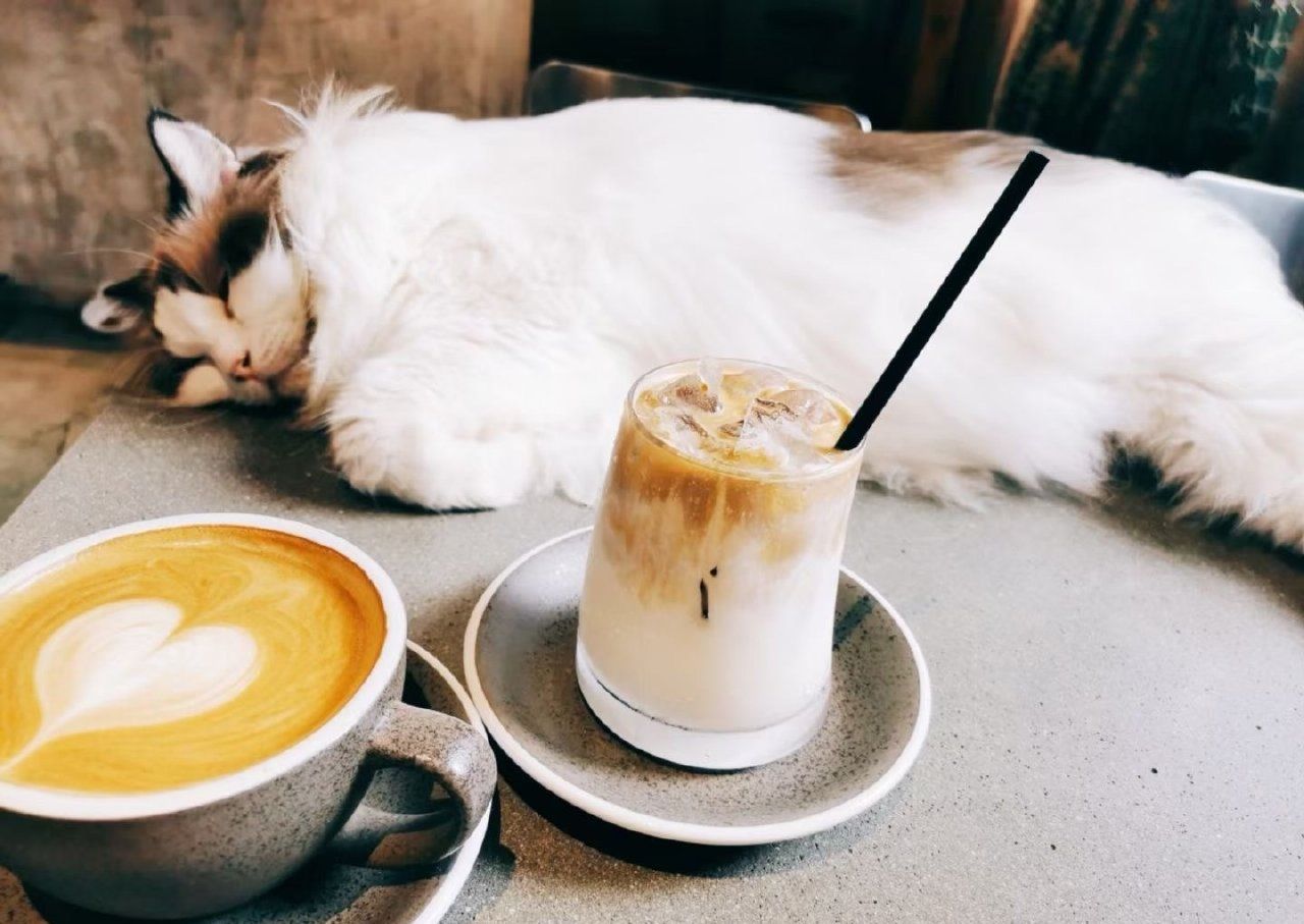 Cafune·咔芙猫咖