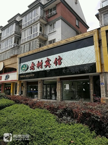 老树公寓